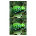 thumbnail image 2 of Juguetes a Modelo de animales electrónicos Vogacara para niños 2Conjunto Verde, 2 of 6