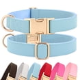 thumbnail image 1 of Collar para perros PET ARTIST de piel suave para perros grandes, color azul, 1 of 8