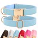 thumbnail image 1 of Collar para perros PET ARTIST de piel suave para perros grandes, color azul, 1 of 8