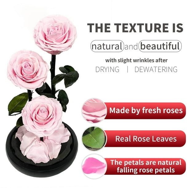 Preserved Real Rose,The Eternal Real Rose in A Glass Dome Will Last  Forever,Unique Gifts for Her/Wife/Mom/Valentine's Day/Mother's  Day/Birthday/Anniversary/ Decoration.(13inch Pink) 