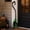 Green, variant on Halloween Witch Broom Decoration, Detachable Wizard Broomstick with Colorful Mesh Tail, Classic Flying Witch Prop Accessory for Costume Party Events Wall Door Home Decor and Festive Display