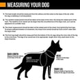 thumbnail image 5 of Hurtta Monsoon Coat ECO, Dog Raincoat, Rosehip, 24 in, 5 of 6
