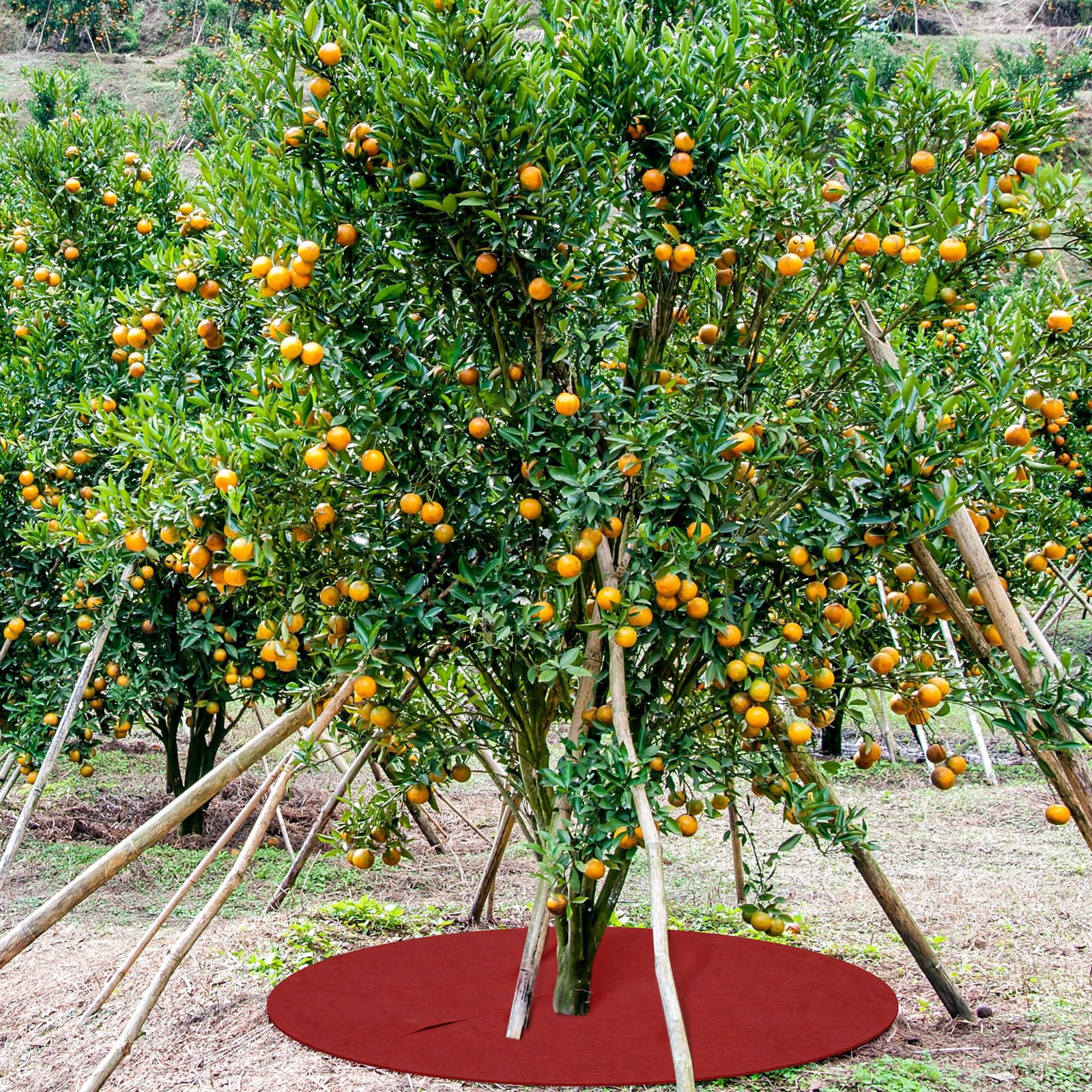16 Pcs 32. 2 Inch Non Woven Tree Mulch Ring Round Tree Weed Barrier Mat Reusable Landscape Protector Base Barrier Fabric for Weed Root Protection