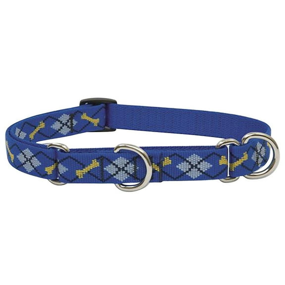 LupinePet Originals 3/4" Dapper Dog 14-20" Martingale Collar for Medium and Larger Dogs