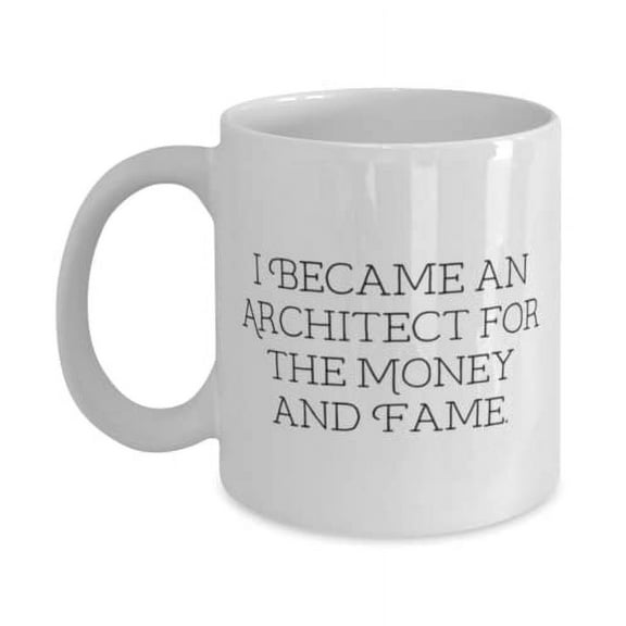 I Became an Architect f the Money and Fame. Architect 15oz Mug, Sarcastic Architect Gifts, Cup F Men Women