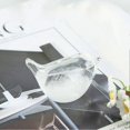 thumbnail image 2 of Bird Storm Glass Weather Forecast, Creative Stylish Weather Station Forecaster Storm Glass Bottles Barometer, Desktop Decoration Crafts Look Up, 2 of 4