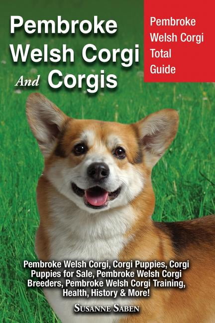 local corgi breeders