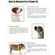 thumbnail image 2 of Arnés para perros Hamilton Adjustable Comfort de nylon marrón, 2 of 2