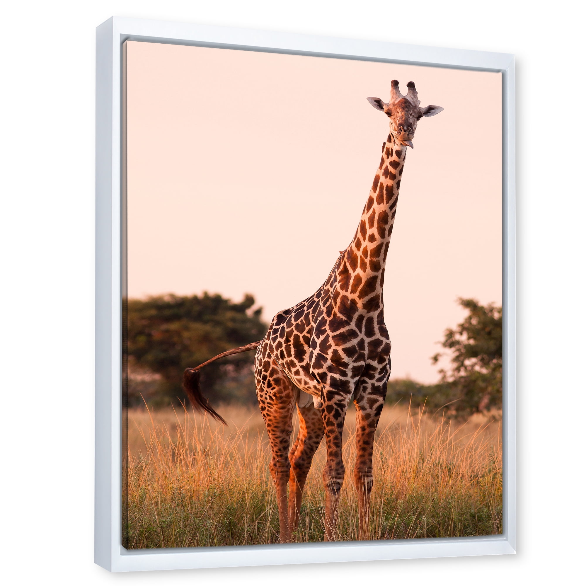 Designart 'African Giraffe In The Wildlife I' Farmhouse Framed Canvas Wall Art Print