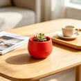 thumbnail image 4 of Round Mini Plastic Succulent Planter Pot, Colorful Small Desktop Flower Container, Lightweight Nursery Plant Pot For Cactus, Herb, Bonsai, Ideal For Home, Office, Balcony And Indoor Desktop Decor, 4 of 4