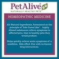 thumbnail image 5 of PetAlive Muscle and Joint Support-M - Natural Homeopathic Formula for Joint Pain and Stiffness in Pets - Supports Joint Health and Movement in Dogs and Cats - 59 mL, 5 of 8