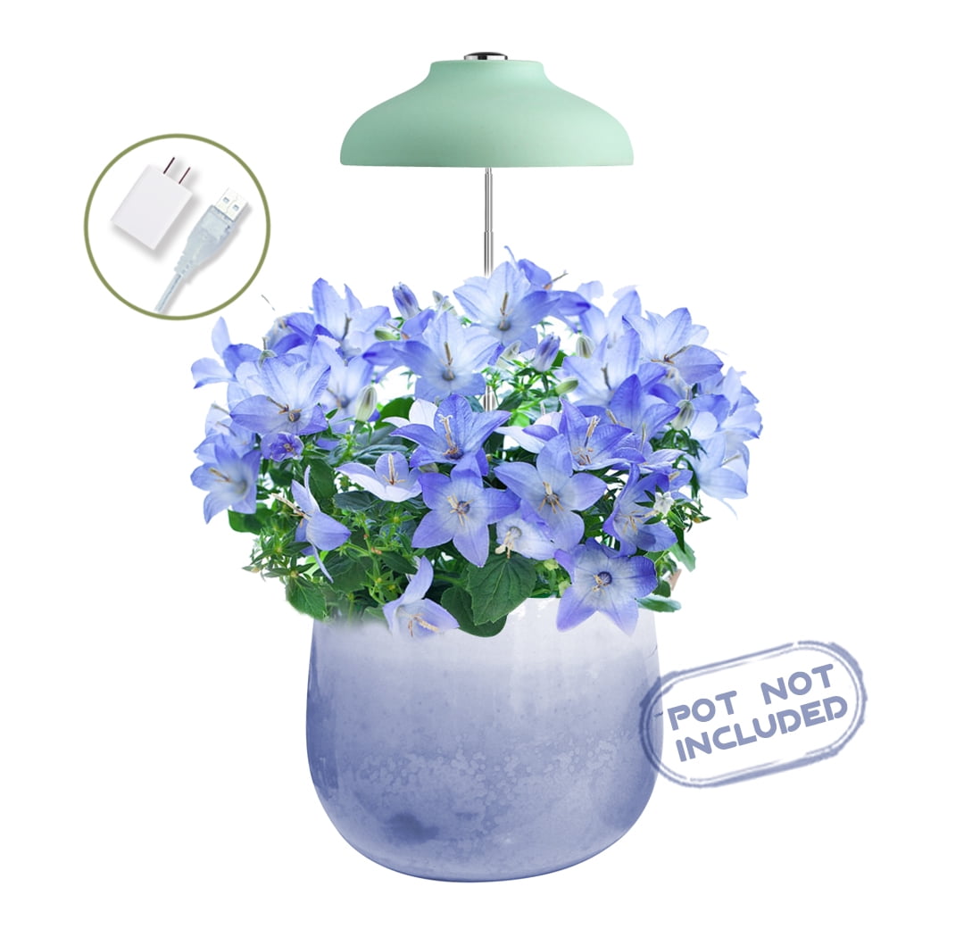 GrowLED Umbrella Plant Grow Light, Herb Garden, Height