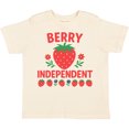 thumbnail image 3 of Inktastic Summer 4th of July Boys or Girls Toddler T-Shirt, 3 of 5