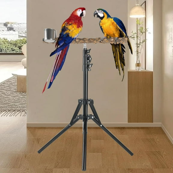 Height Adjustable Bird Training Perch Stand with Feeding Cups and Swing Toy for Small Medium Birds