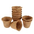 thumbnail image 1 of Muyoka 10 Uds. De plántulas de palma de coco, bolsa de plántulas, cuenco para plántulas, ideal para esquejes y semillas Muyoka Hogar, 1 of 7