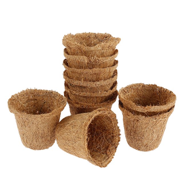 Muyoka 10 Uds. De plántulas de palma de coco, bolsa de plántulas, cuenco para plántulas, ideal para esquejes y semillas Muyoka Hogar