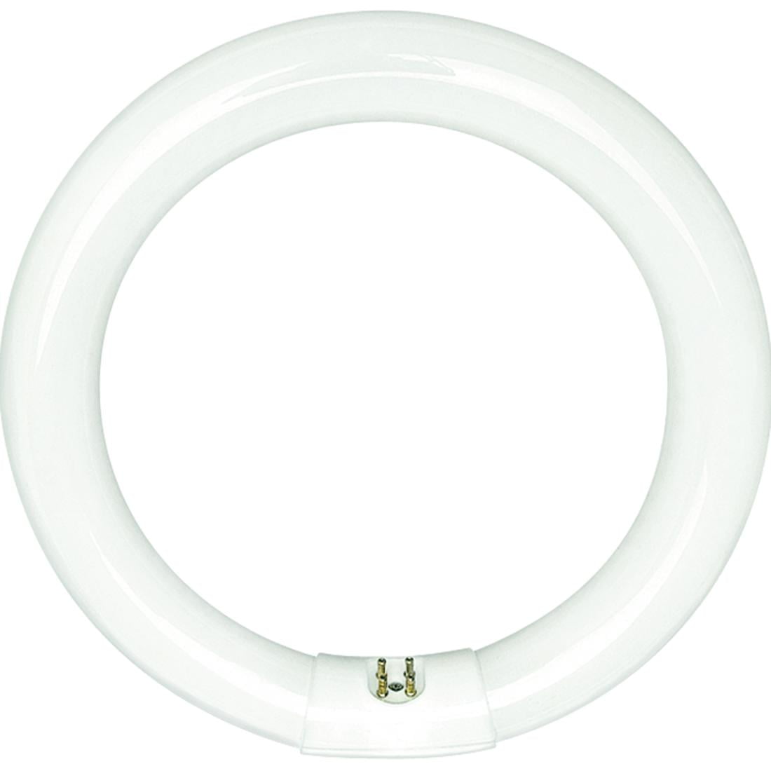 Sylvania Compact Fluorescent Lamp, Rapid Start, T9, Circline, 6500K, 4
