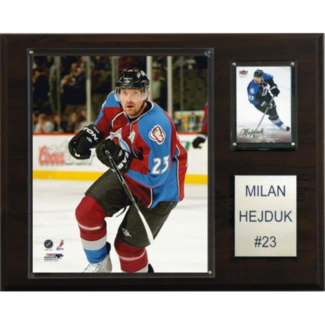 milan hejduk jersey