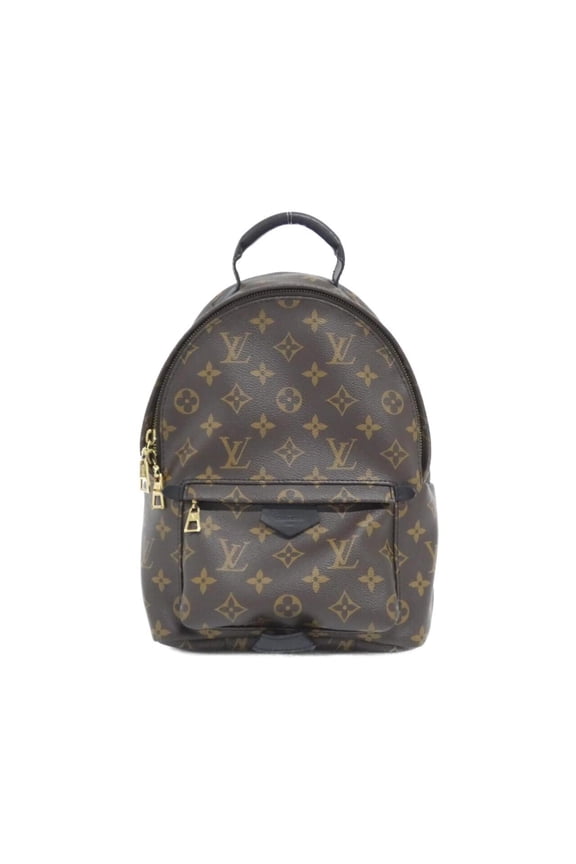 Pre-Owned Louis Vuitton Monogram Palm Springs Backpack PM M44871