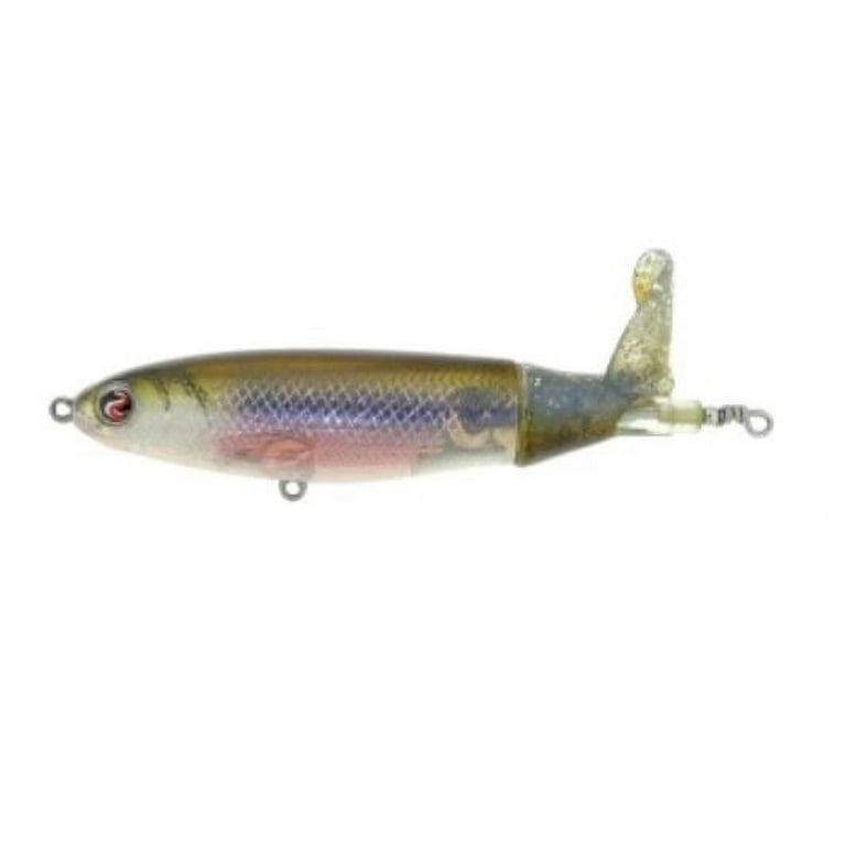  South Bend Sporting Goods 1-1/2 Super Duper Rainbow Trout :  Fishing Topwater Lures And Crankbaits : Sports & Outdoors