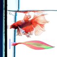 thumbnail image 6 of Betta Fish Leaf, Fake Silicone Betta Leaves Hammock for Small Tank, Leaf Pad with Suction Cup Fish Resting Spot Fish Bed for Tank Betta Fish, 6 of 8
