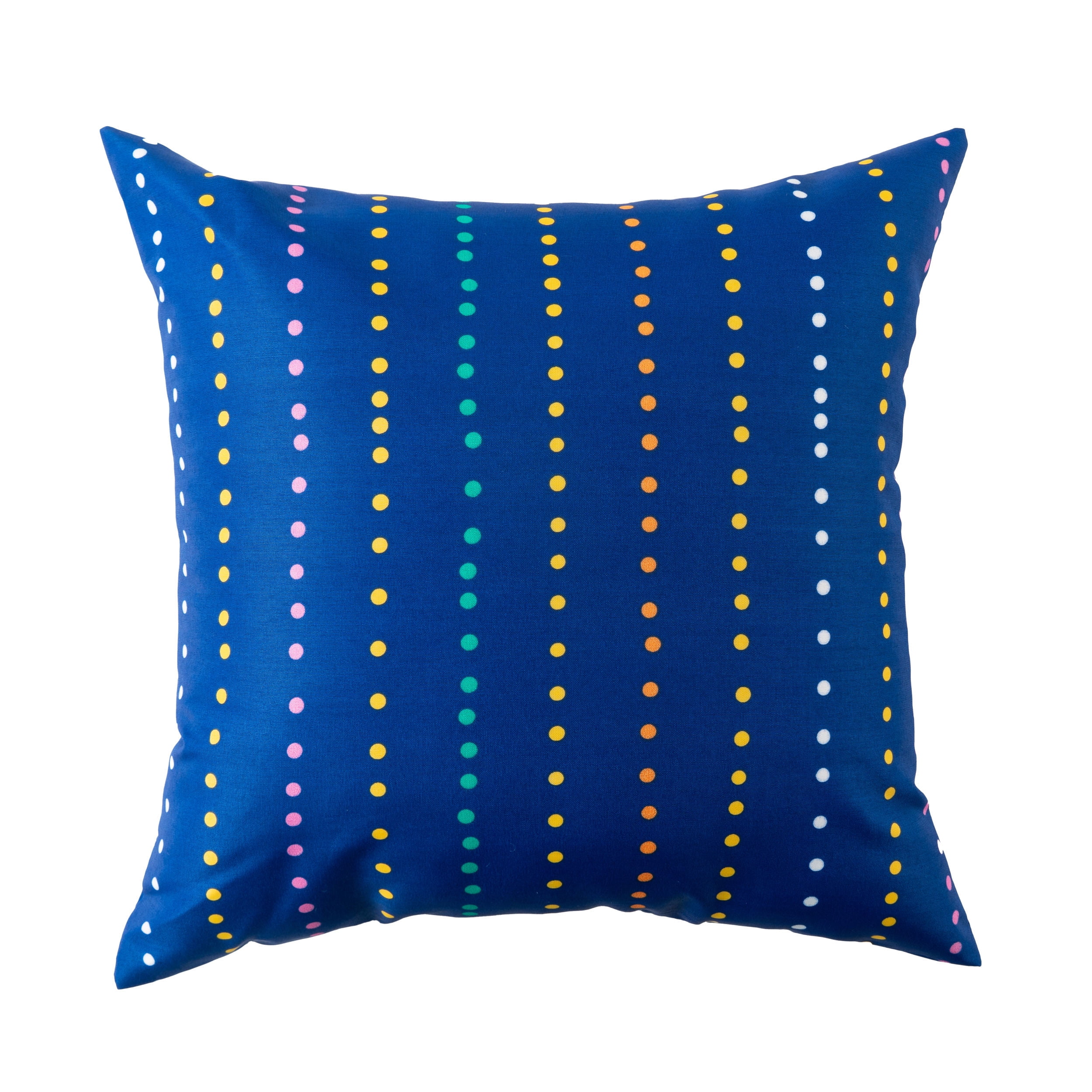 Mainstays SW Cactus Reversible Outdoor Throw Pillow 16 Inch Multicolour Novelty