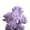 Purple, variant on Ludlz Artificial Flocked Plants Plastic Succulent Unpotted Assorted Realistic Plants Fake Textured Succulent Picks for DIY Home Landscape Decorations Office Hotel Decoration