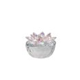 thumbnail image 1 of Boîte à Bijoux en Verre Transparent avec Blush LOTUS, 1 of 1