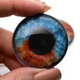thumbnail image 2 of Heterochromia Dual Blue and Brown Human Glass Eyes, 2 of 11