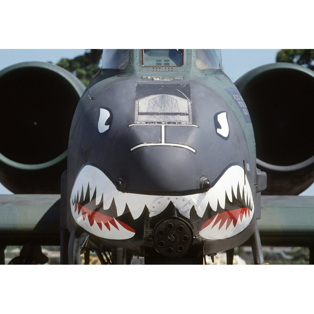 A10 Thunderbolt Ii Shark Face Aircraft Plane-20 Inch By 30 Inch