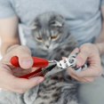 thumbnail image 3 of Dog Cat Nail Clippers Professional Pet Claw Trimmer Cutter Small Medium Large Pets Toes Grooming Tools Sharp Stainless Steel Blade Ergonomic Handle Great for Small Medium Big Breeds Animals Pets (Red), 3 of 7