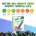 thumbnail image 4 of (12 pack) True Lemon Blueberry Acai Energy Drink Mix Powder, 0 Sugar, No Artificial Sweeteners, 6 Count, 4 of 17