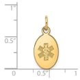 thumbnail image 3 of FB Jewels 14K Yellow Gold Non-enameled Medical Jewelry Pendant, 3 of 4