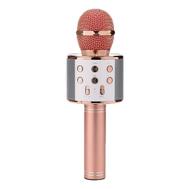 Microphone Sans Fil Multifonction Portable pour Karaoké