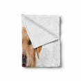 thumbnail image 2 of Golden Retriever Soft Flannel Fleece Throw Blanket, Young Pedigree Puppy Laying over White Background Baby Dog, Cozy Plush for Indoor and Outdoor Use, 70" x 90", Sand Brown White, by Ambesonne, 2 of 6