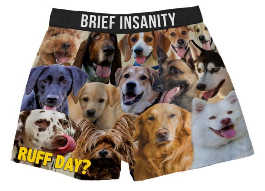 dog boxer briefs