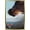 Gold Framed Version, variant on Disney Pixar Cars 3 - One Sheet Wall Poster, 22.375" x 34", Framed