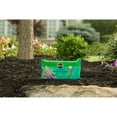 thumbnail image 3 of Miracle-Gro Tree & Shrub Fertilizer Spikes, 3 lb., 12 Spikes, Easy-to-Use, 3 of 7