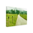 thumbnail image 2 of James McLoughlin 'Country Road Photo I' Canvas Art, 2 of 3