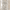 Sophisticated, variant on KISS Classy Premium Press on Nails, Gorgeous, Beige, Long Square, 30 Count