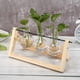 thumbnail image 3 of Florero de vidrio transparente Marco de madera Terrario Escritorio Bonsai Decoración de mesa (C) Ndcxsfigh  Nuevos Originales, 3 of 6