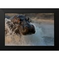 thumbnail image 2 of Chang, Phillip 24x17 Black Modern Framed Museum Art Print Titled - The Hippo, 2 of 5
