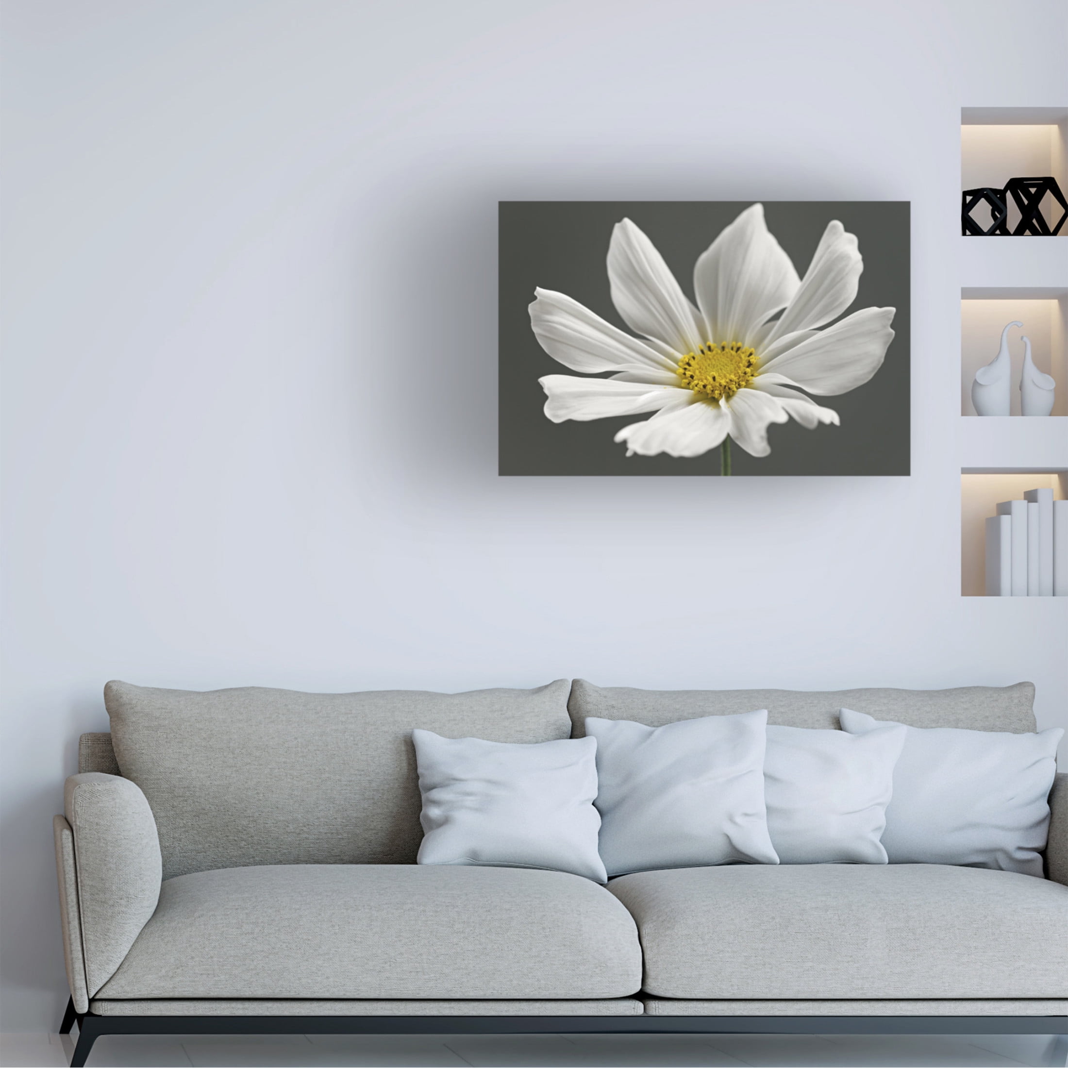 Trademark Fine Art Alyson Fennell Cosmos Flower Canvas Wall Art