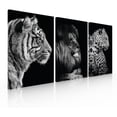thumbnail image 1 of Set de 3 Cuadros Decorativos Modernos Felinos Ideas Creativas Cuadro sublimado en tela 40 cm x 60 cm, 1 of 2
