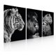 thumbnail image 1 of Set de 3 Cuadros Decorativos Modernos Felinos Ideas Creativas Cuadro sublimado en tela 40 cm x 60 cm, 1 of 2