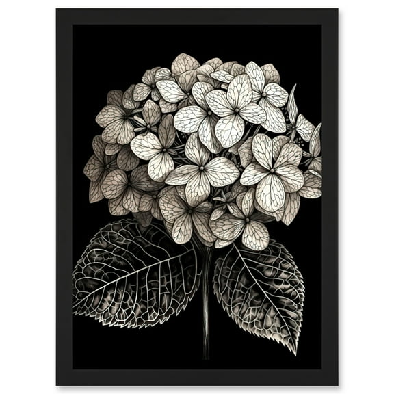 Black and White Artistic Hydrangea Flower Plant Artwork Framed Wall Art Print A4
