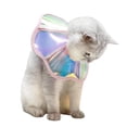 thumbnail image 2 of vnanda Adjustable Size Cat Collar Pet Collar Adjustable Soft Cat Cone Collar Anti-licking Anti-scratching Recovery Collar Pet Supplies Cat Collar, 2 of 8