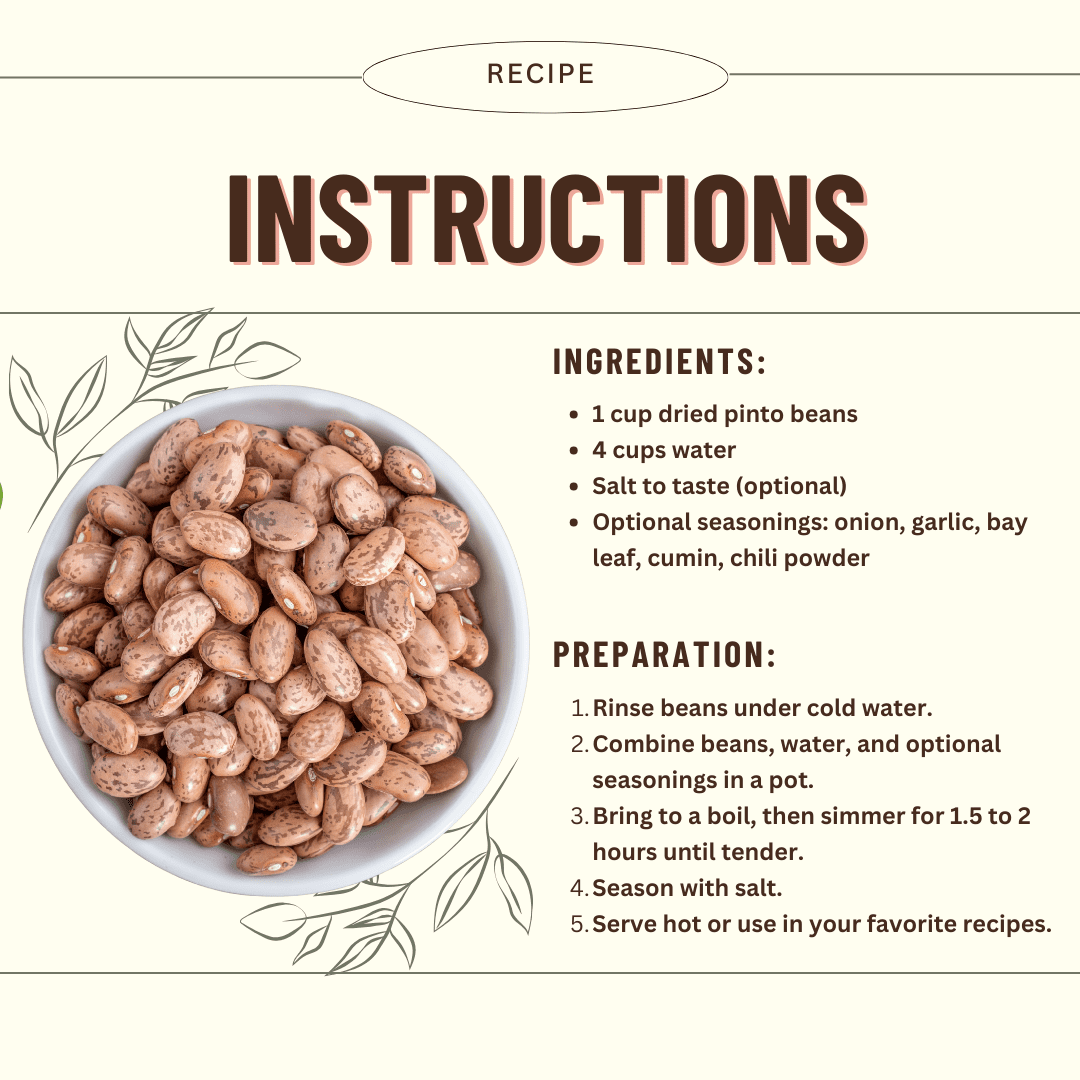 Pinto Bean, 40LB Emergency Bucket, USA Grown, USDA Certified Organic & GMO Free, Sustainable Farming Practices-Mountain High Organics