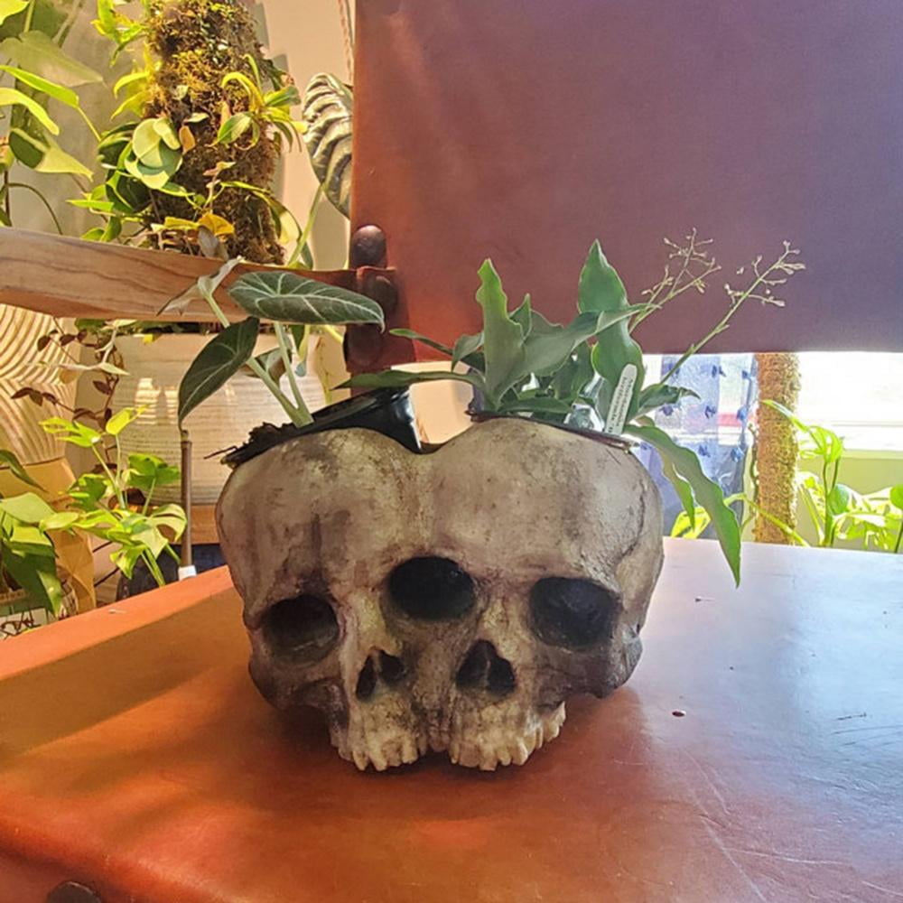 Pot De Bonbons En Forme De Crâne Pour Halloween - En Résine, 16.5x11 Cm, Pour Décor, Bonbons Ou Petites Plantes