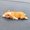 E, variant on Cute Cartoon Sleeping Corgi Resin Car Ornament, Mini Dachshund Dog Figurine for Dashboard, Desk, Home Decor